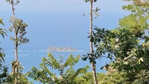 Foto 5-3-24, 2 37 40 p. m. (19)